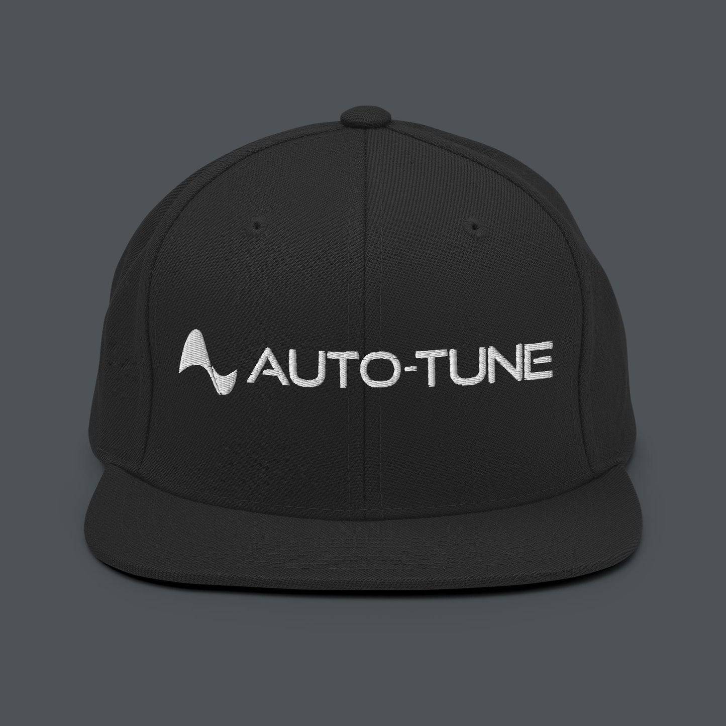 Auto-Tune Snapback Hat
