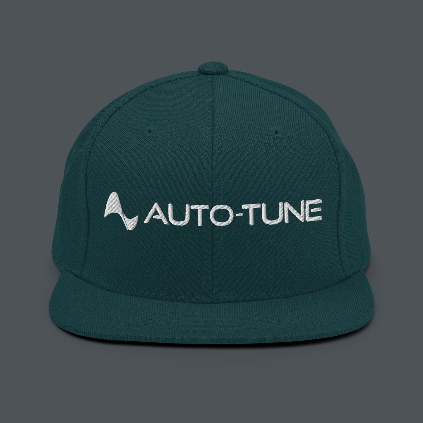 Auto-Tune Snapback Hat